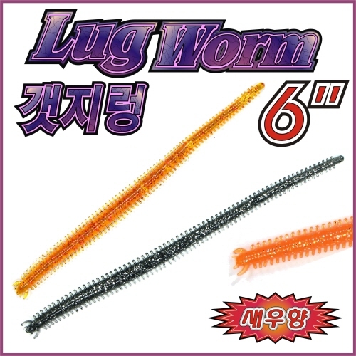 갯지렁 lugworm 6